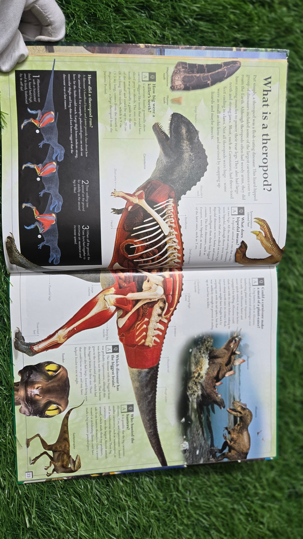 Dangerous Dinosaurs by Carey Scott