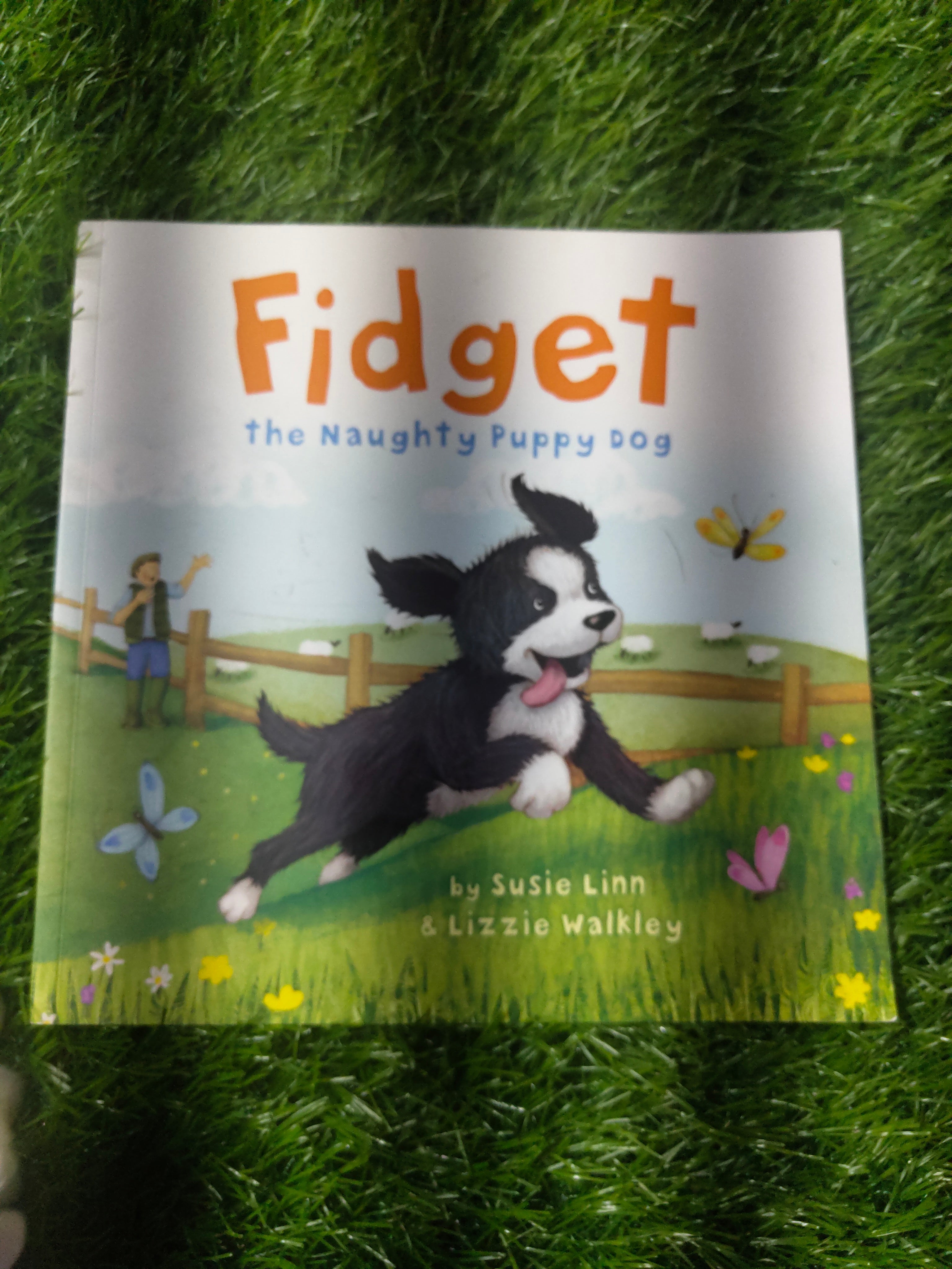 FIDGET: The Naughty Puppy Dog By Susie Linn