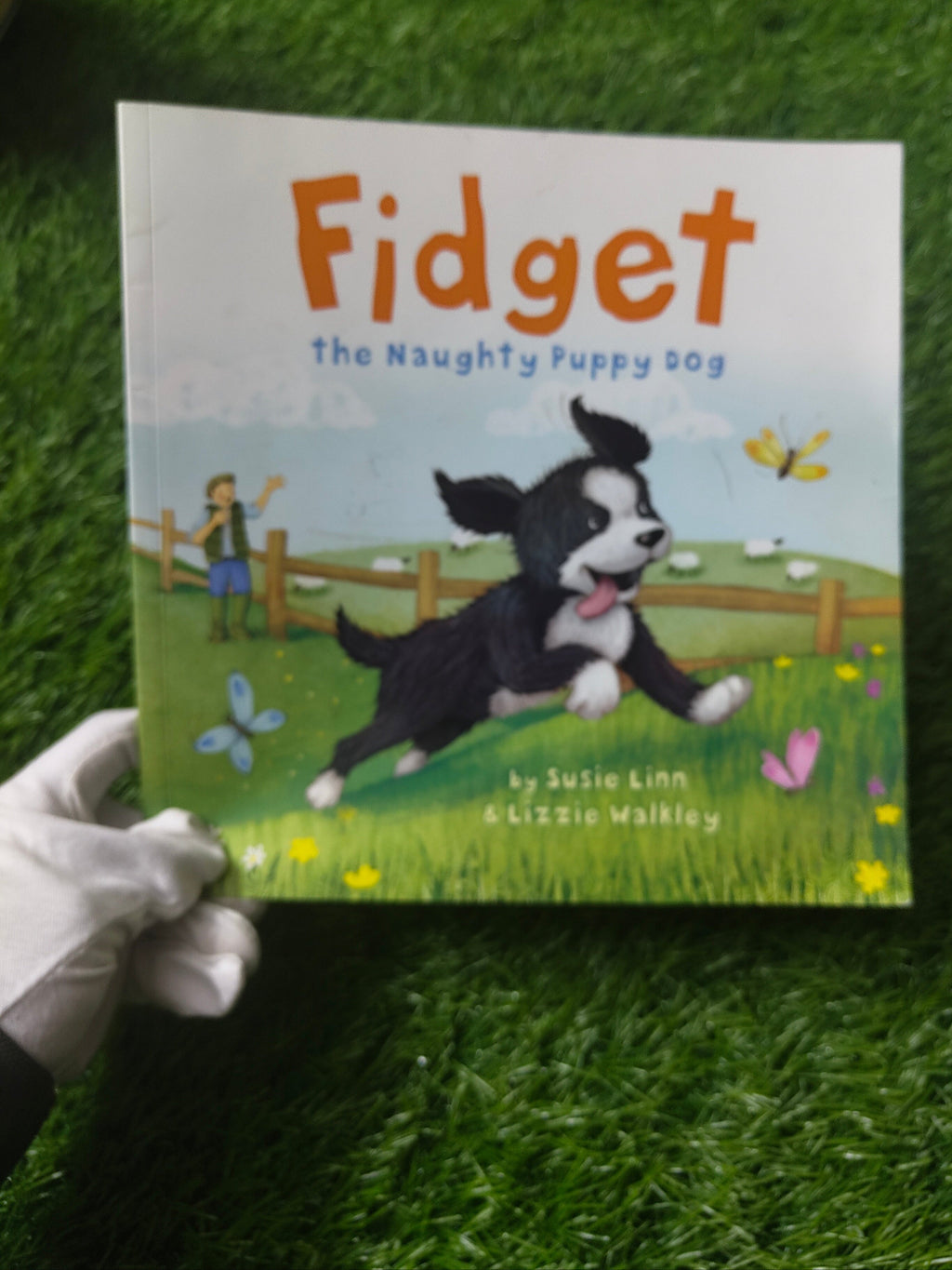 FIDGET: The Naughty Puppy Dog By Susie Linn