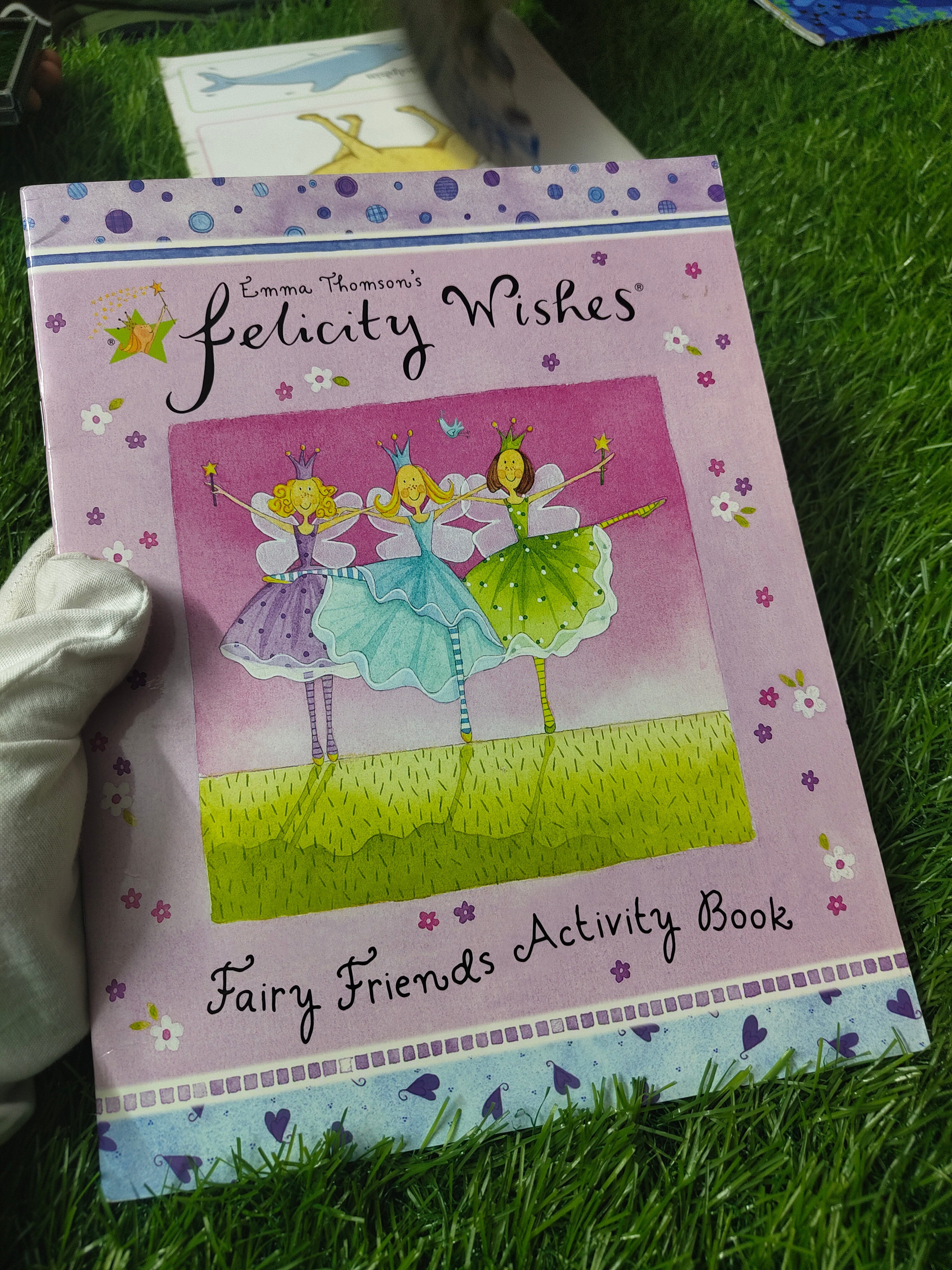 Felicity Wishes: Fairy Friends Activity Book by Emma Thomson