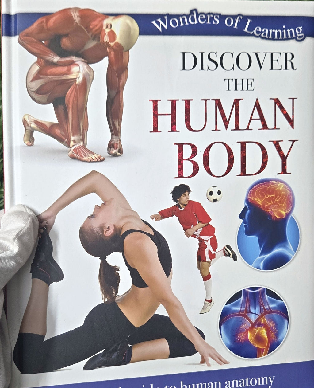 Discover the Human Body: Wonders of Learning Educational Box