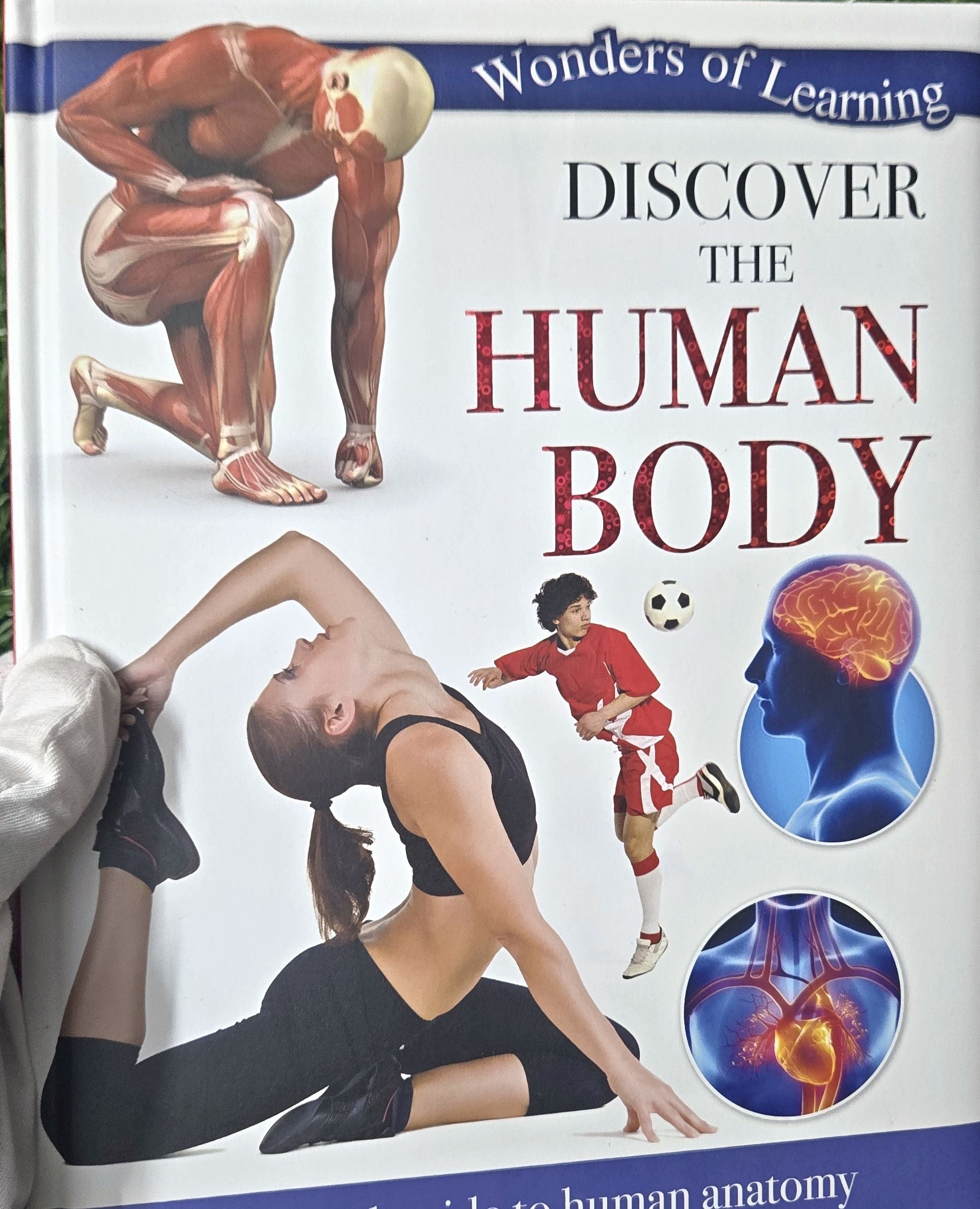Discover the Human Body: Wonders of Learning Educational Box