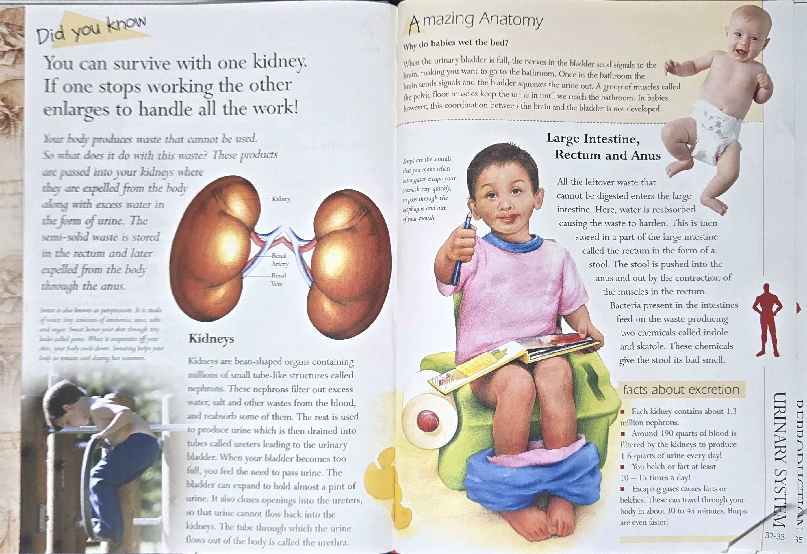 Discover the Human Body: Wonders of Learning Educational Box