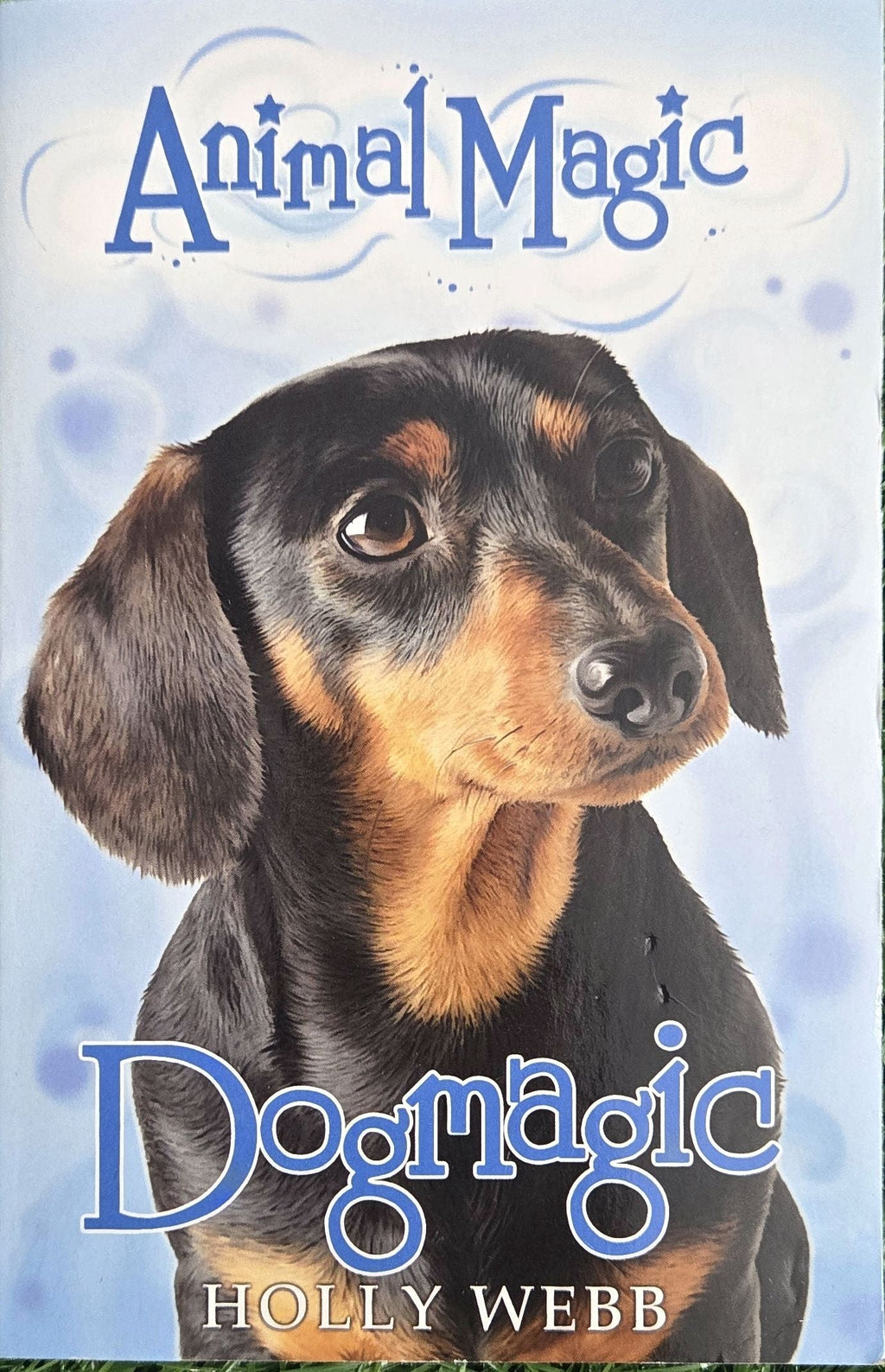 Dogmagic: 2 (Animal Magic) by Holly Webb