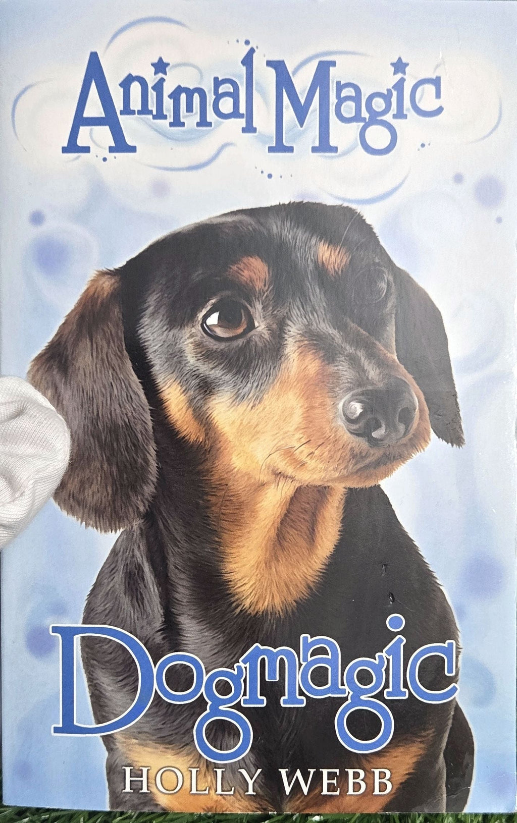 Dogmagic: 2 (Animal Magic) by Holly Webb