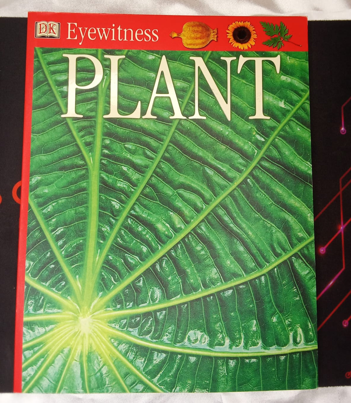 EYEWITNESS PLANTS