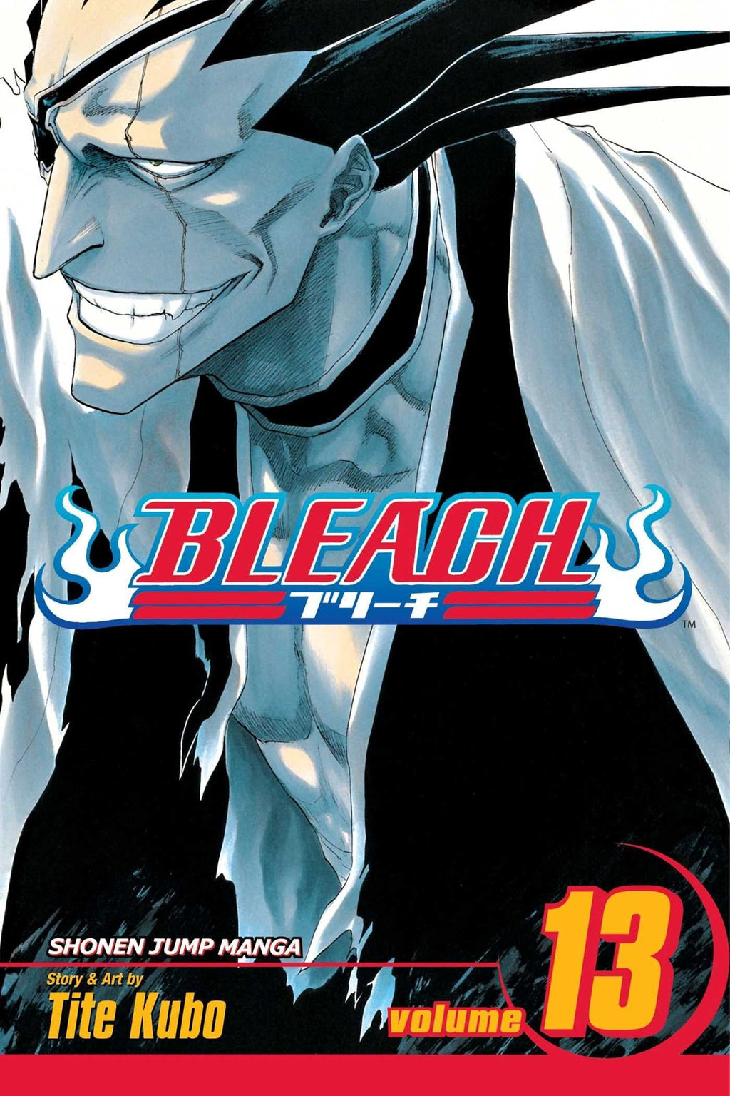 Bleach Vol. 1-21 with Exclusive Bleach Theme Bookmarks