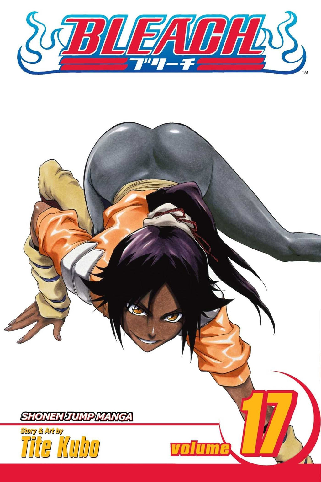 Bleach Vol. 1-21 with Exclusive Bleach Theme Bookmarks